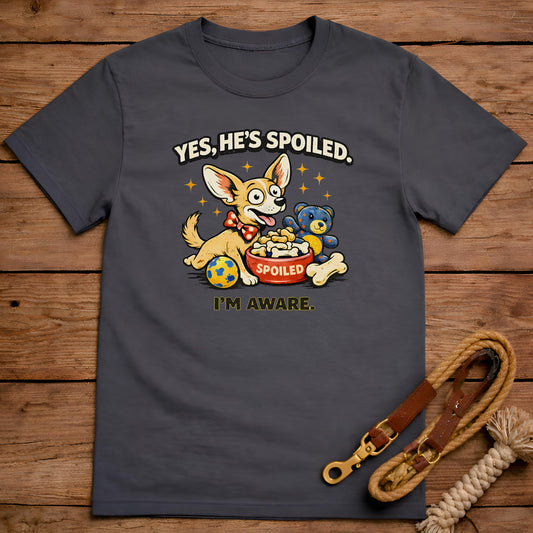 Yes He’s Spoiled I’m Aware T-Shirt
