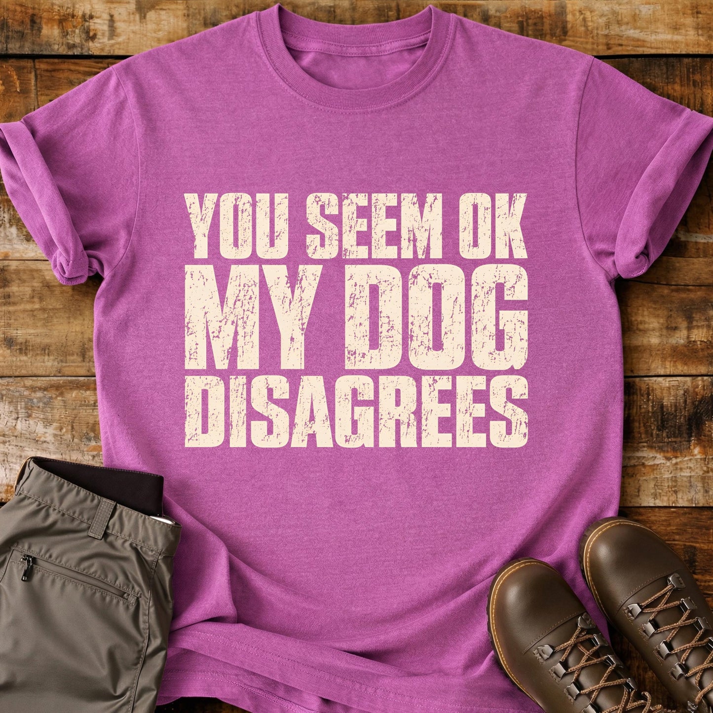 You Seem OK My Dog Disagrees T-Shirt