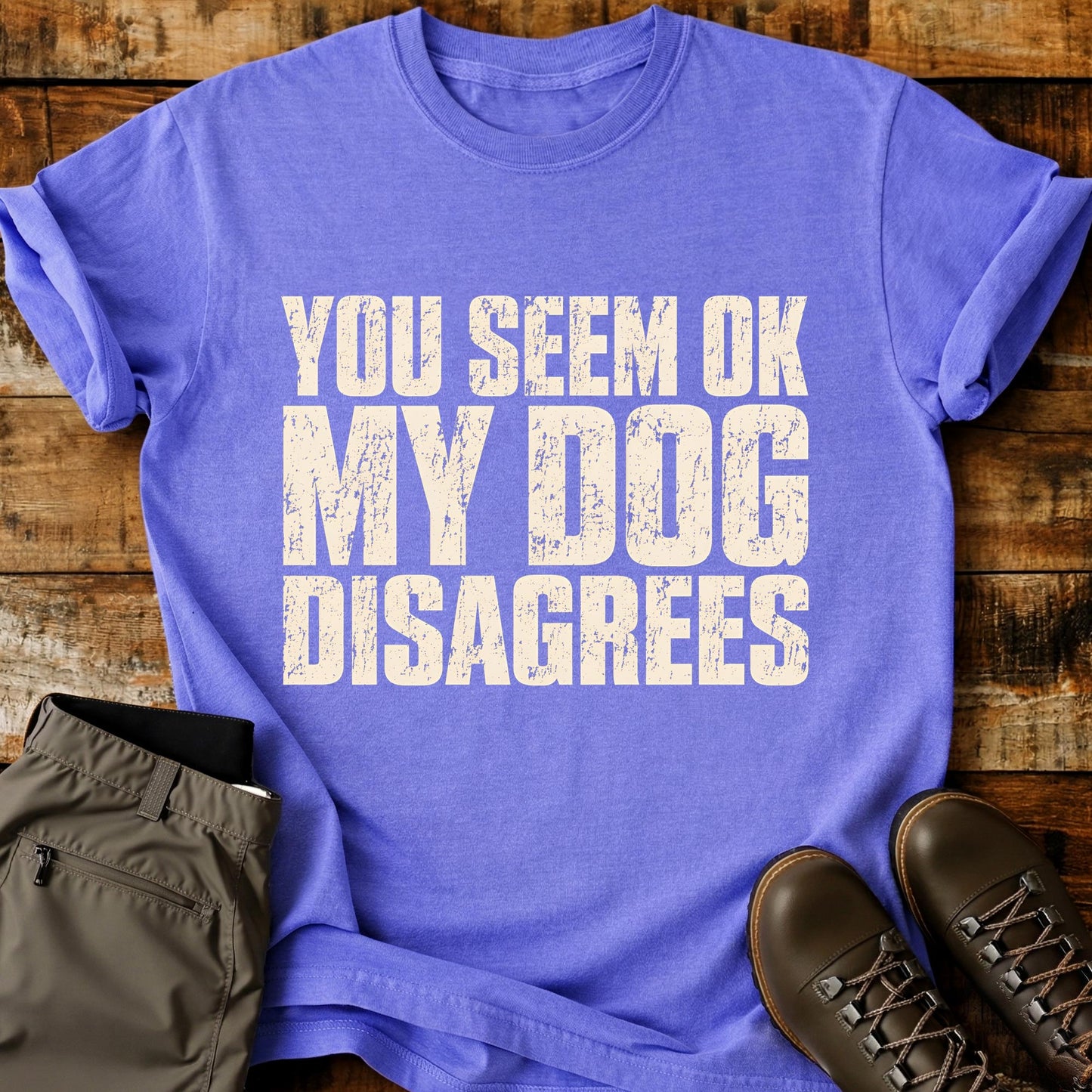You Seem OK My Dog Disagrees T-Shirt