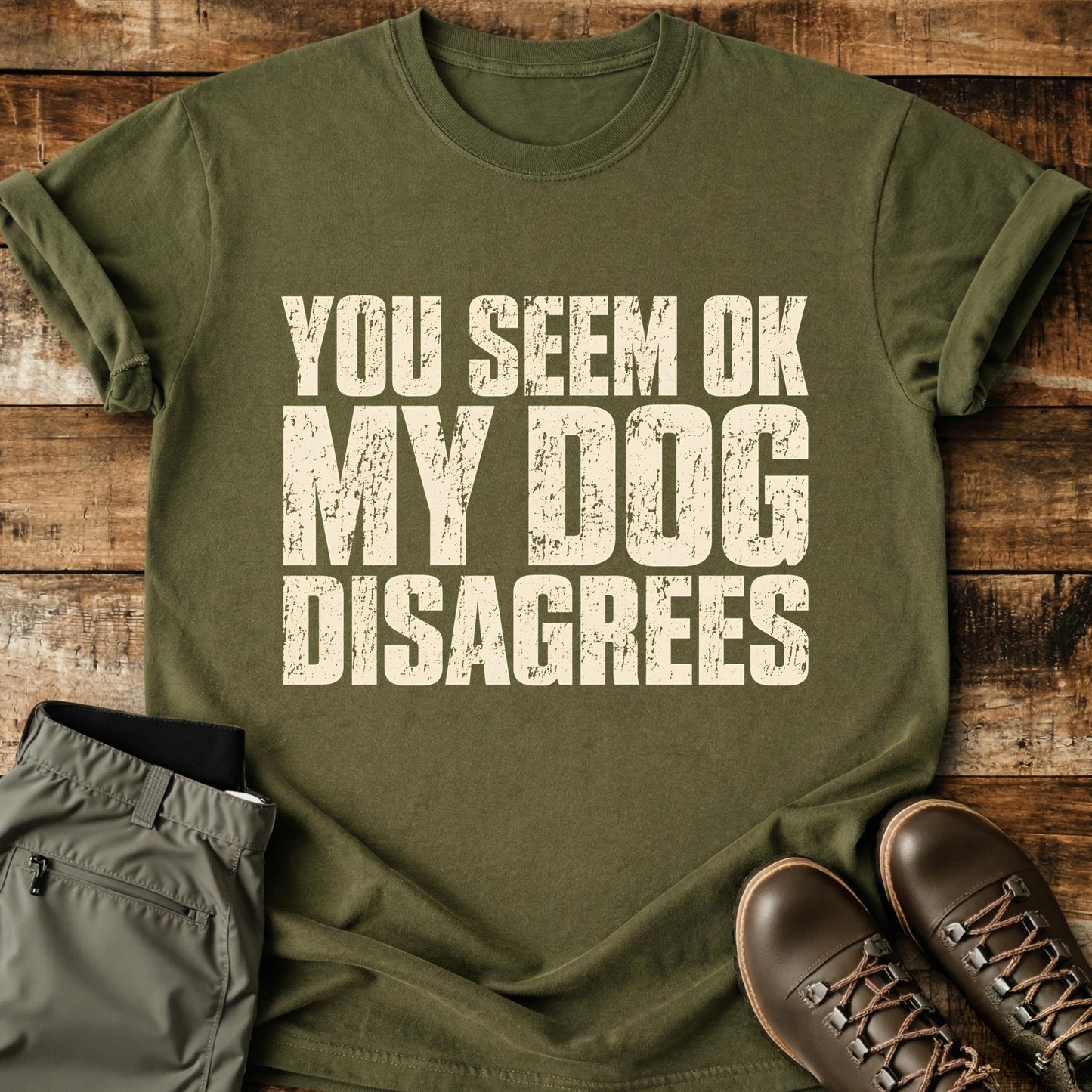 You Seem OK My Dog Disagrees T-Shirt