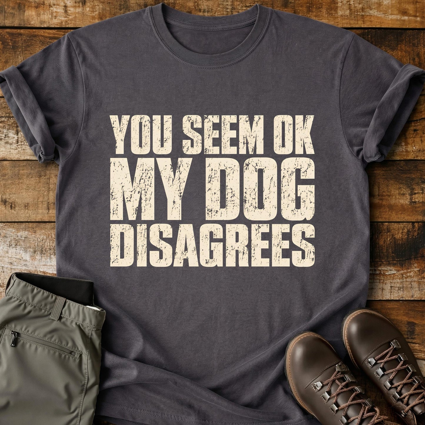 You Seem OK My Dog Disagrees T-Shirt