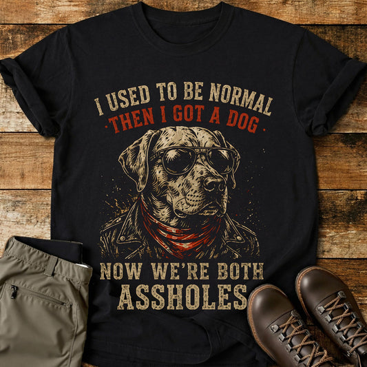 I Used To Be Normal T-Shirt